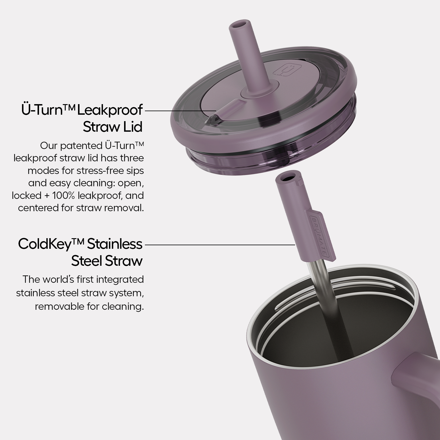 Era 30oz | Merry Merlot